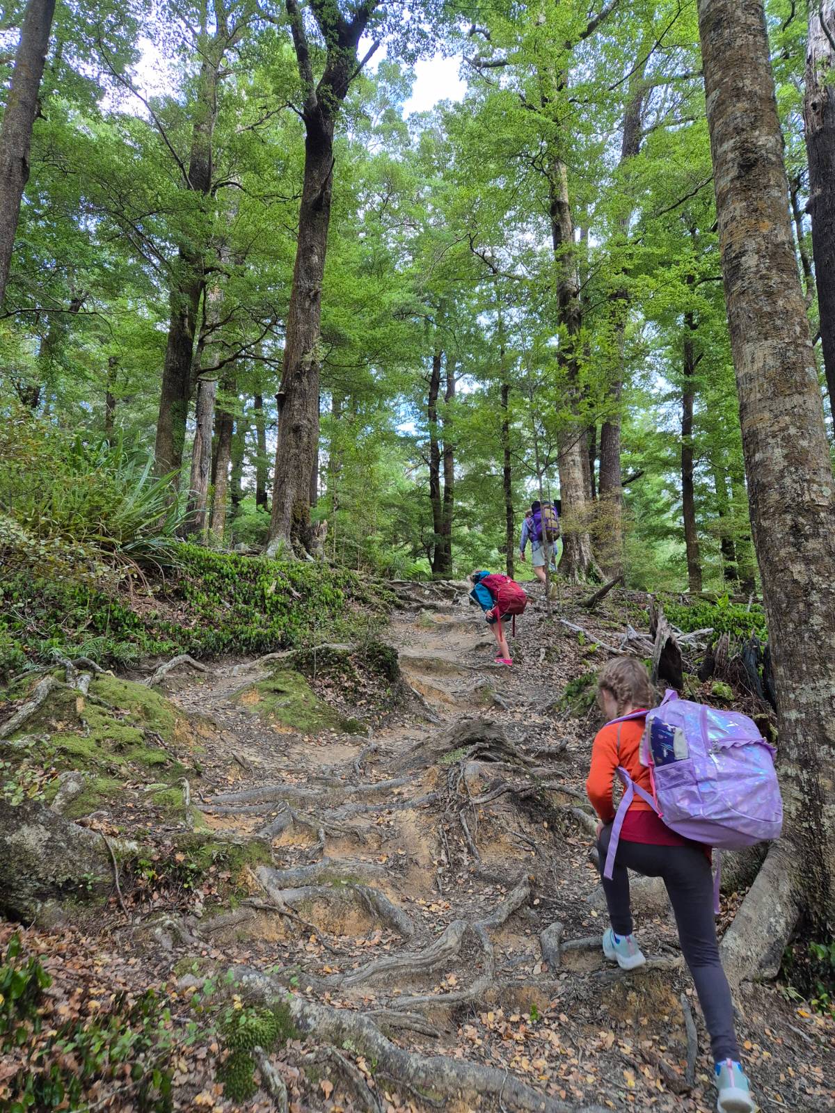 Hiking the Orongarongas