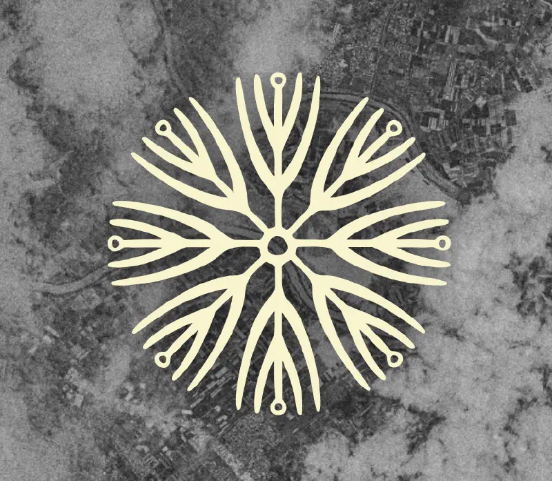 Featured image of post Critical Signals