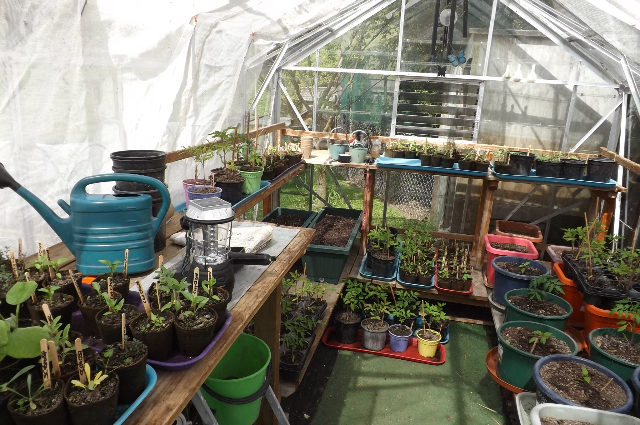 Gardening & gender essentialism