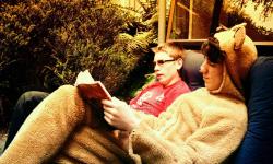 Featured image of post Unlimited Paenga Tawhiti